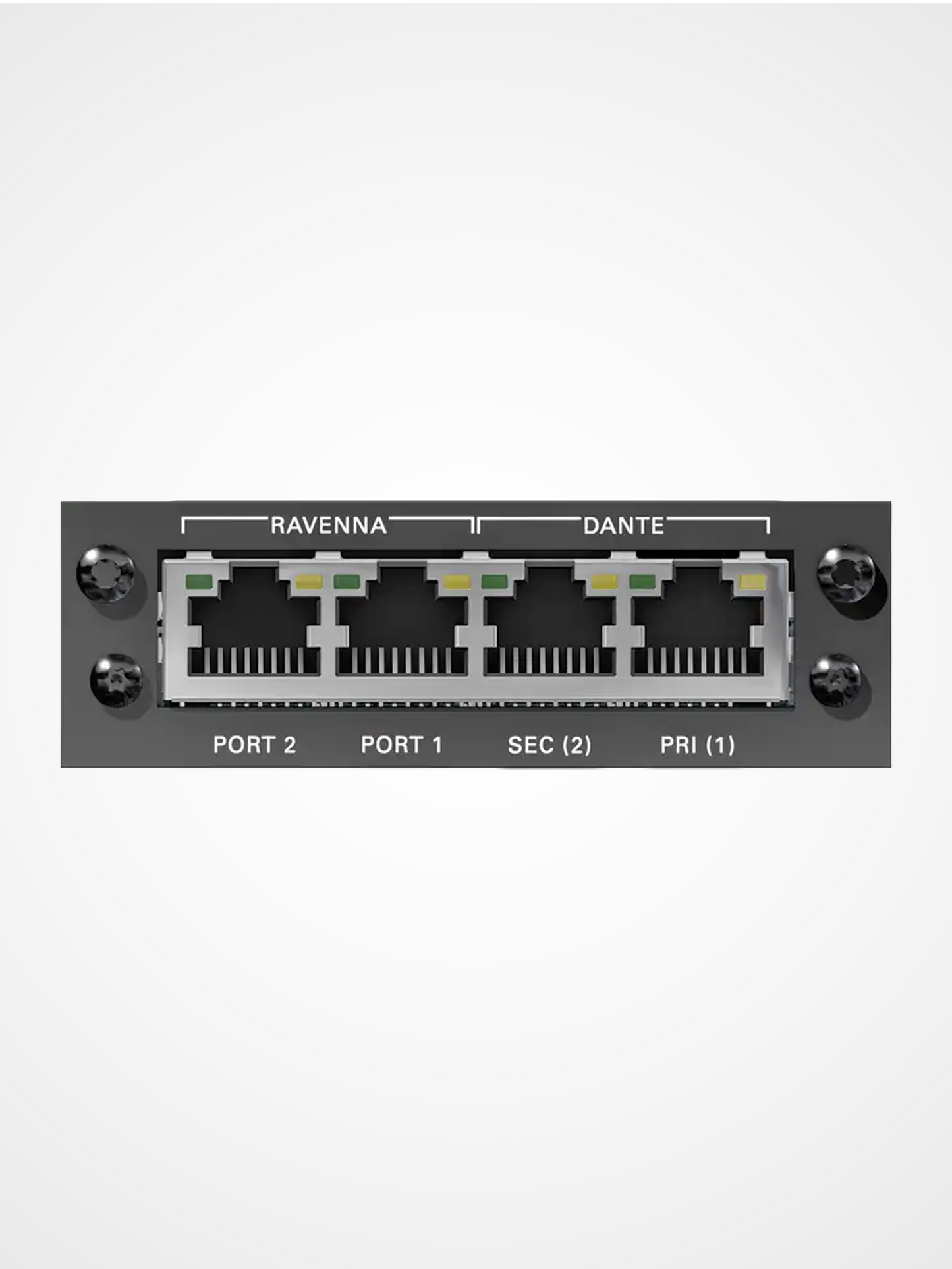 DirectOut DANTE RAV SRC I/O module bridging Dante and RAVENNA AES67 audio networks with low latency conversion