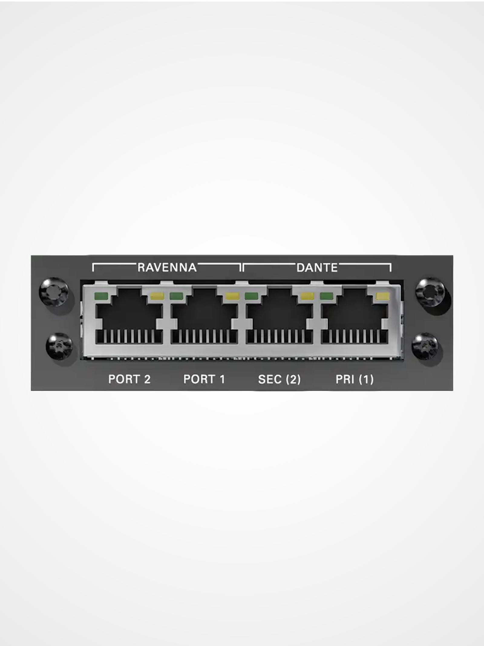 DirectOut DANTE RAV SRC I/O module bridging Dante and RAVENNA AES67 audio networks with low latency conversion