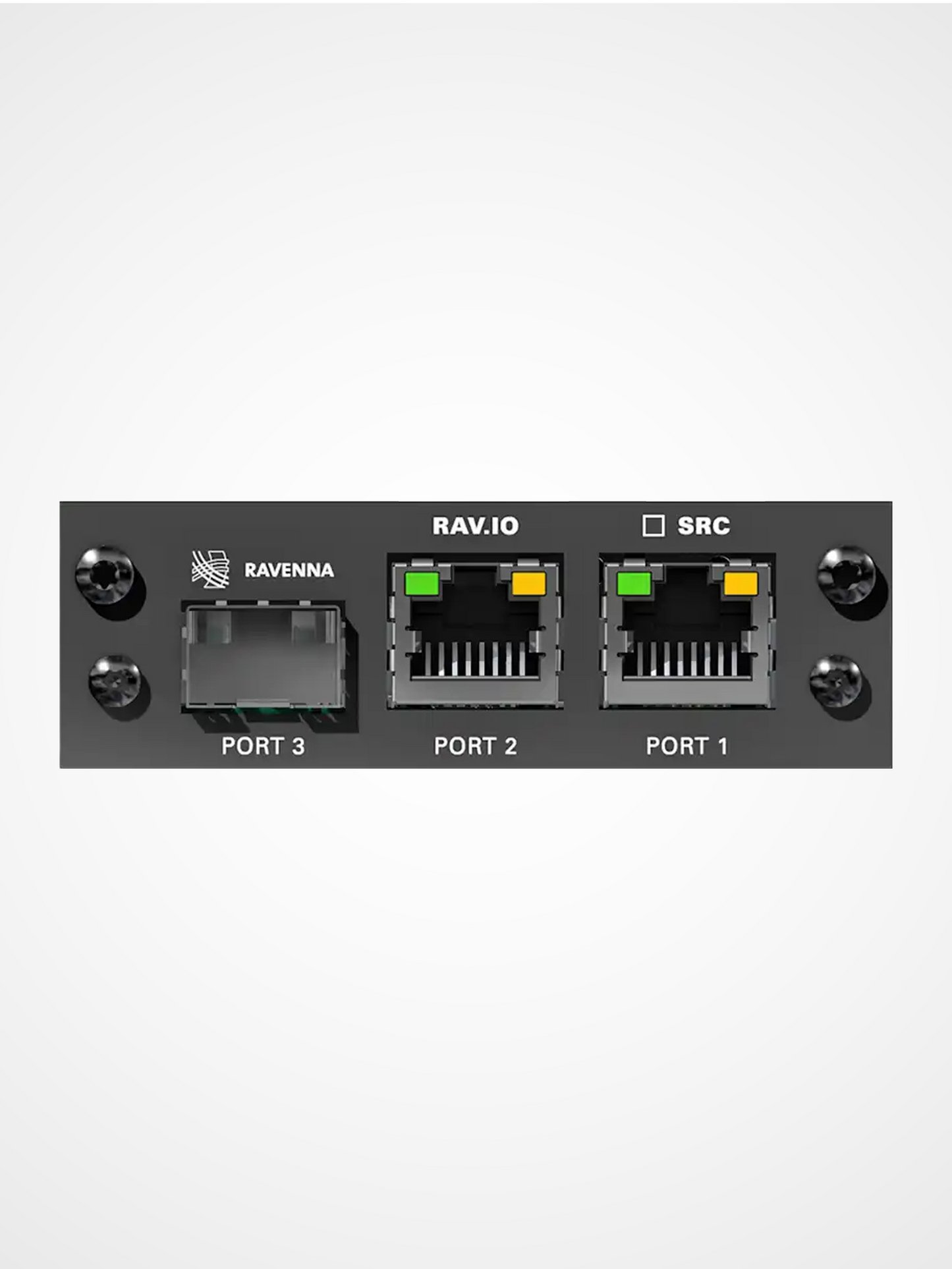 DirectOut RAV I/O module for RAVENNA AES67 and ST2110 audio networking with high channel capacity
