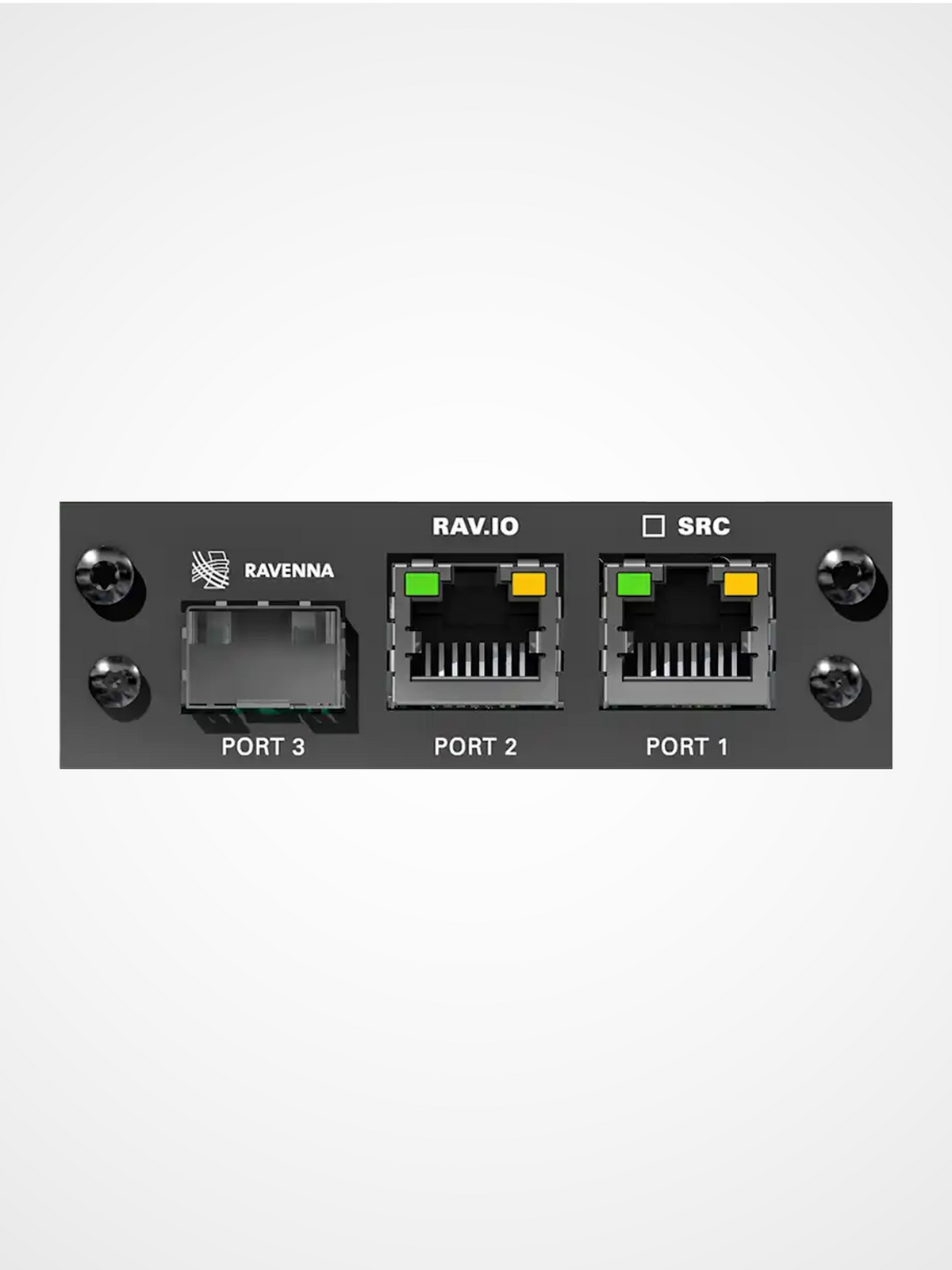 DirectOut RAV I/O module for RAVENNA AES67 and ST2110 audio networking with high channel capacity
