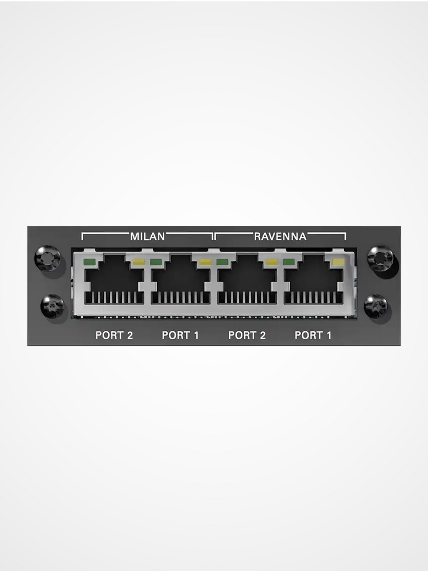 DirectOut RAV MILAN SRC I/O module for RAVENNA AES67 to AVB Milan audio networking with sample rate conversion