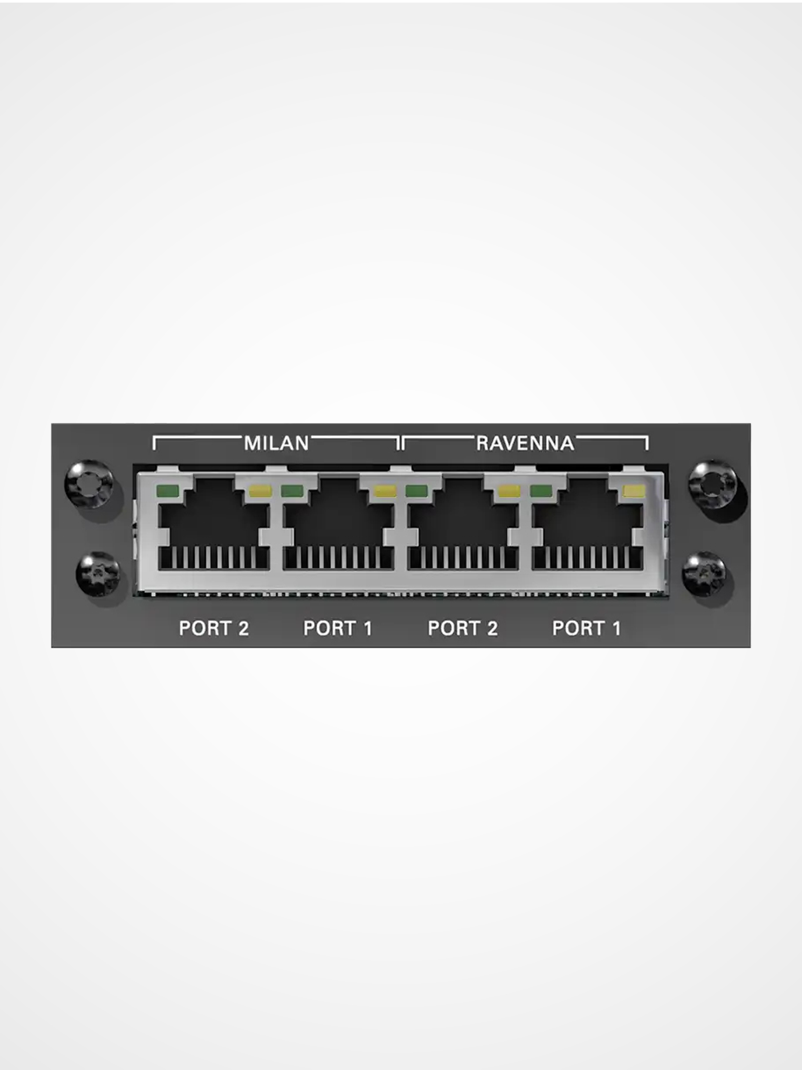 DirectOut RAV MILAN SRC I/O module for RAVENNA AES67 to AVB Milan audio networking with sample rate conversion