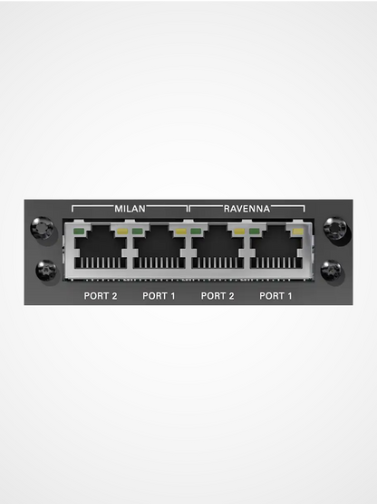 DirectOut RAV MILAN SRC I/O module for RAVENNA AES67 to AVB Milan audio networking with sample rate conversion
