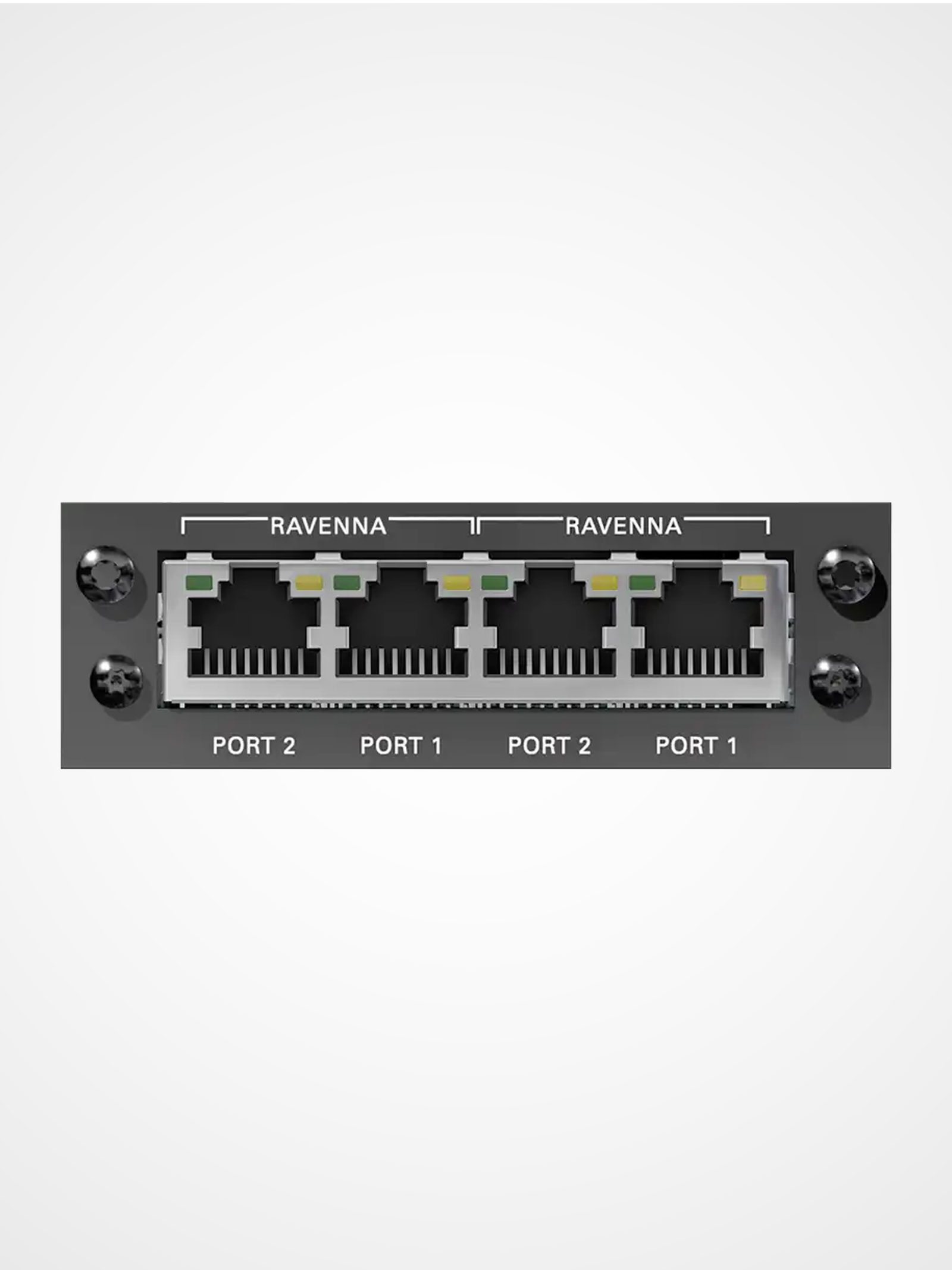 DirectOut RAV RAV SRC I/O dual RAVENNA AES67 audio network module with redundant audio streams
