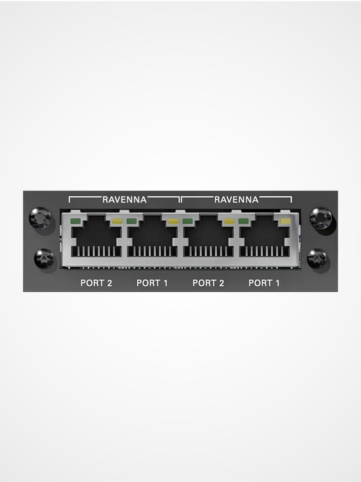 DirectOut RAV RAV SRC I/O dual RAVENNA AES67 audio network module with redundant audio streams