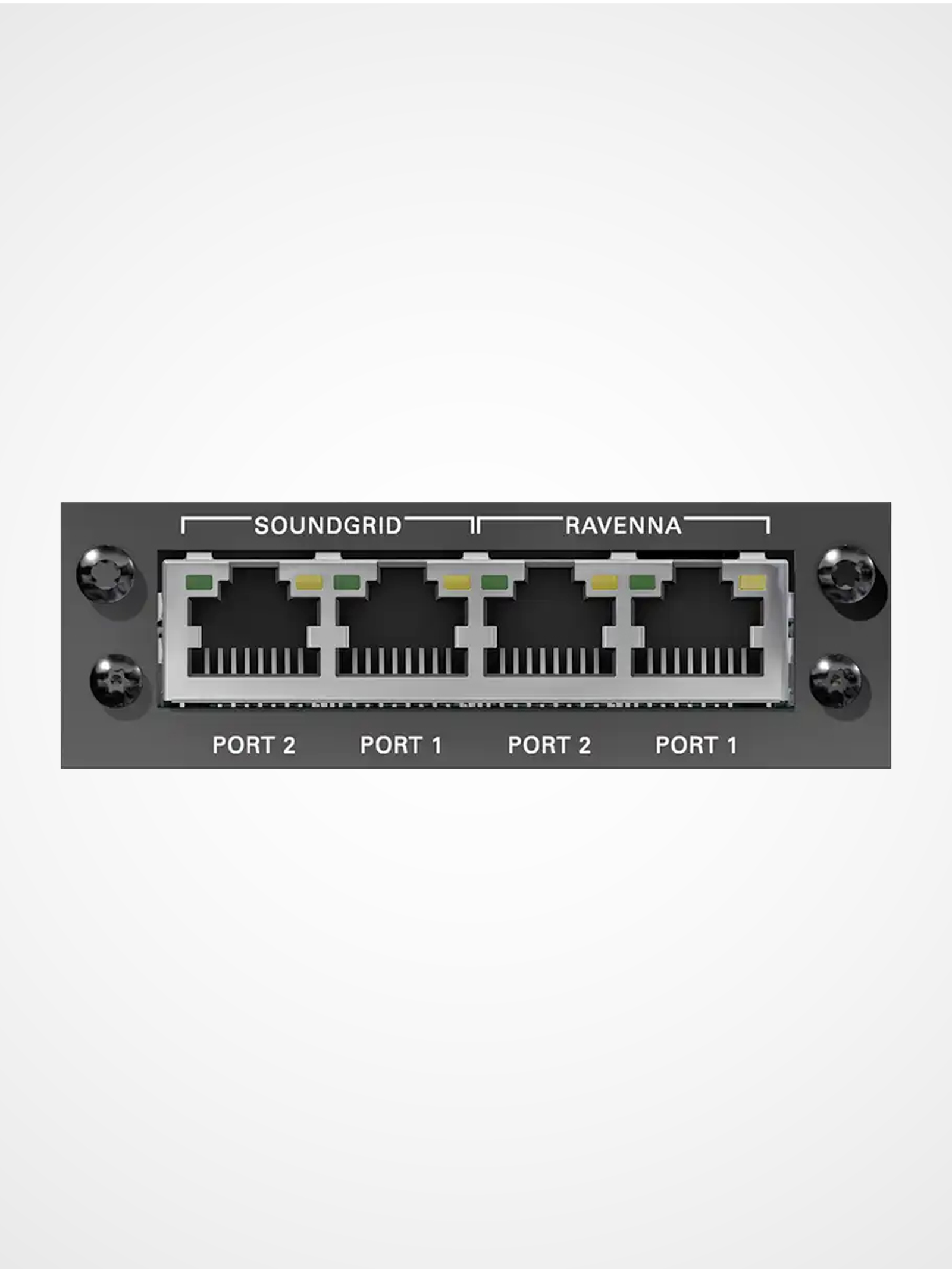 DirectOut RAV SG SRC I/O module connecting RAVENNA AES67 networks to Waves SoundGrid systems for live audio processing