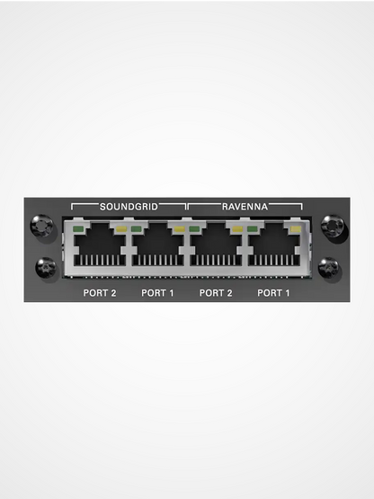 DirectOut RAV SG SRC I/O module connecting RAVENNA AES67 networks to Waves SoundGrid systems for live audio processing