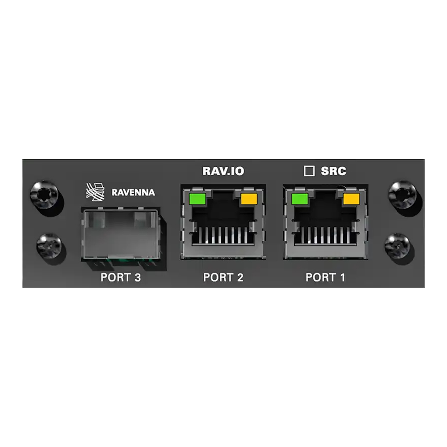 DirectOut RAV SRC I/O module with sample rate conversion for RAVENNA AES67 audio networking systems